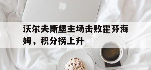 开云web网站-沃尔夫斯堡主场击败霍芬海姆，积分榜上升