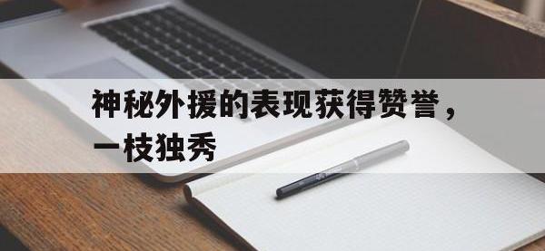 开云web网站-神秘外援的表现获得赞誉，一枝独秀